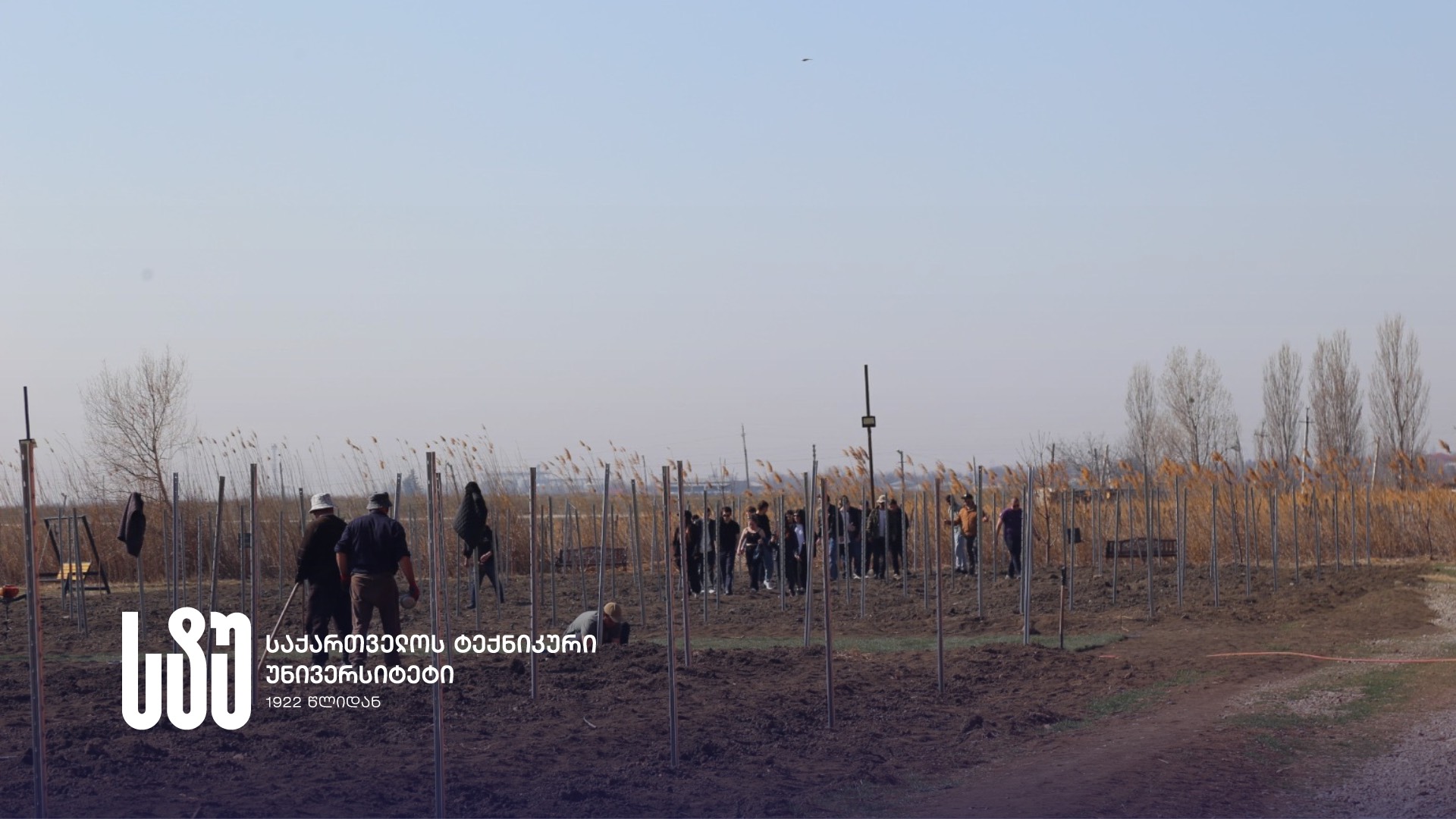 Students Participate in Vineyard Cultivation